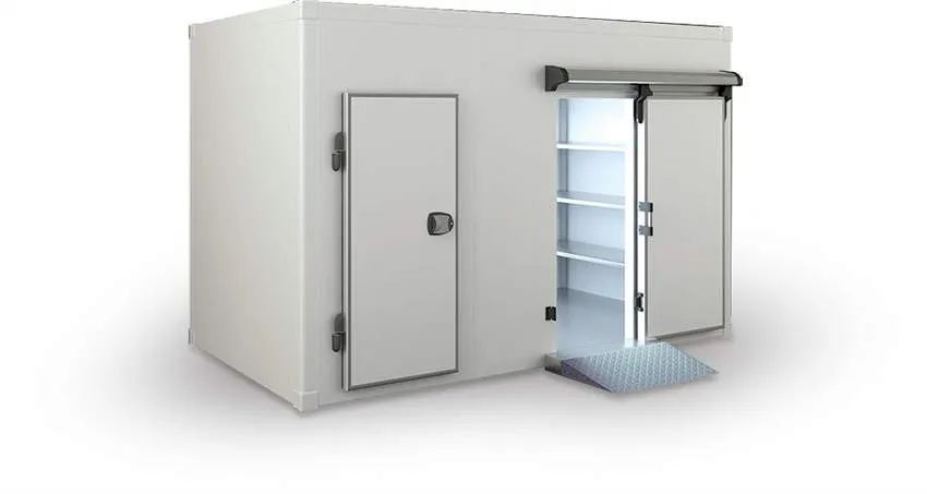 5 Reasons Why You Need a Cold Room for Your Business.