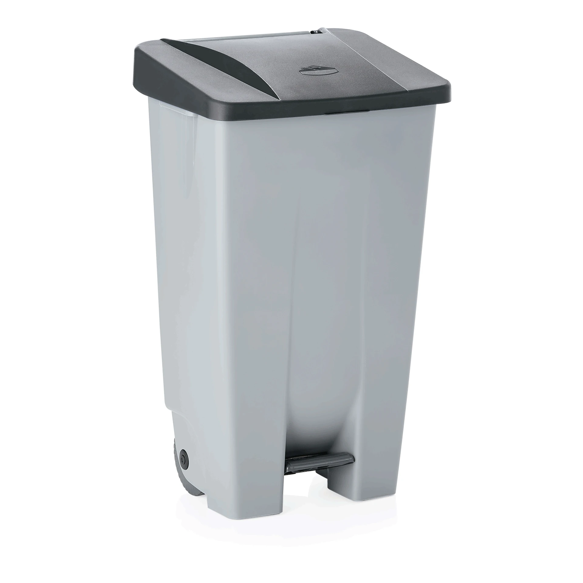 Pedal waste bin Black