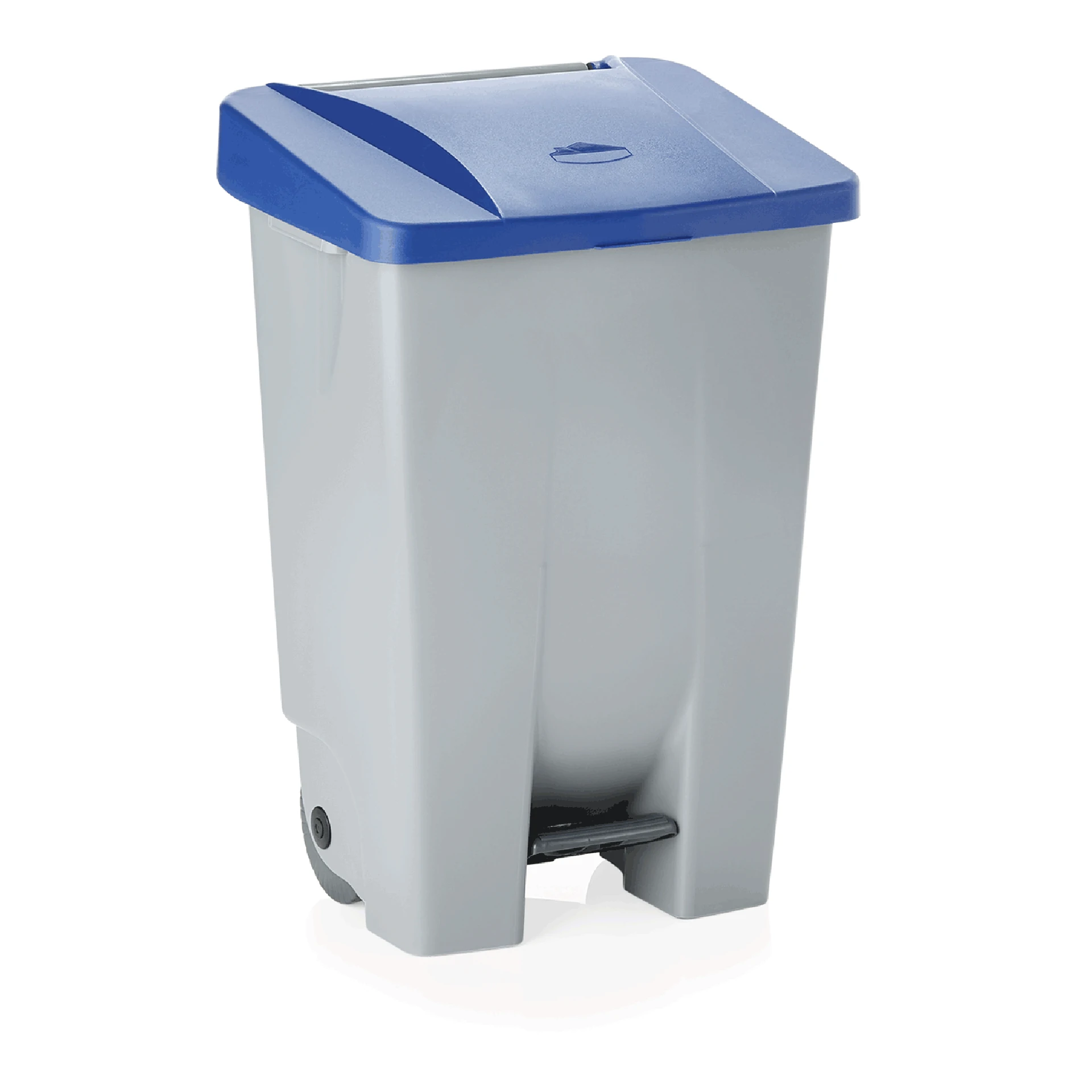 Pedal waste bin Blue