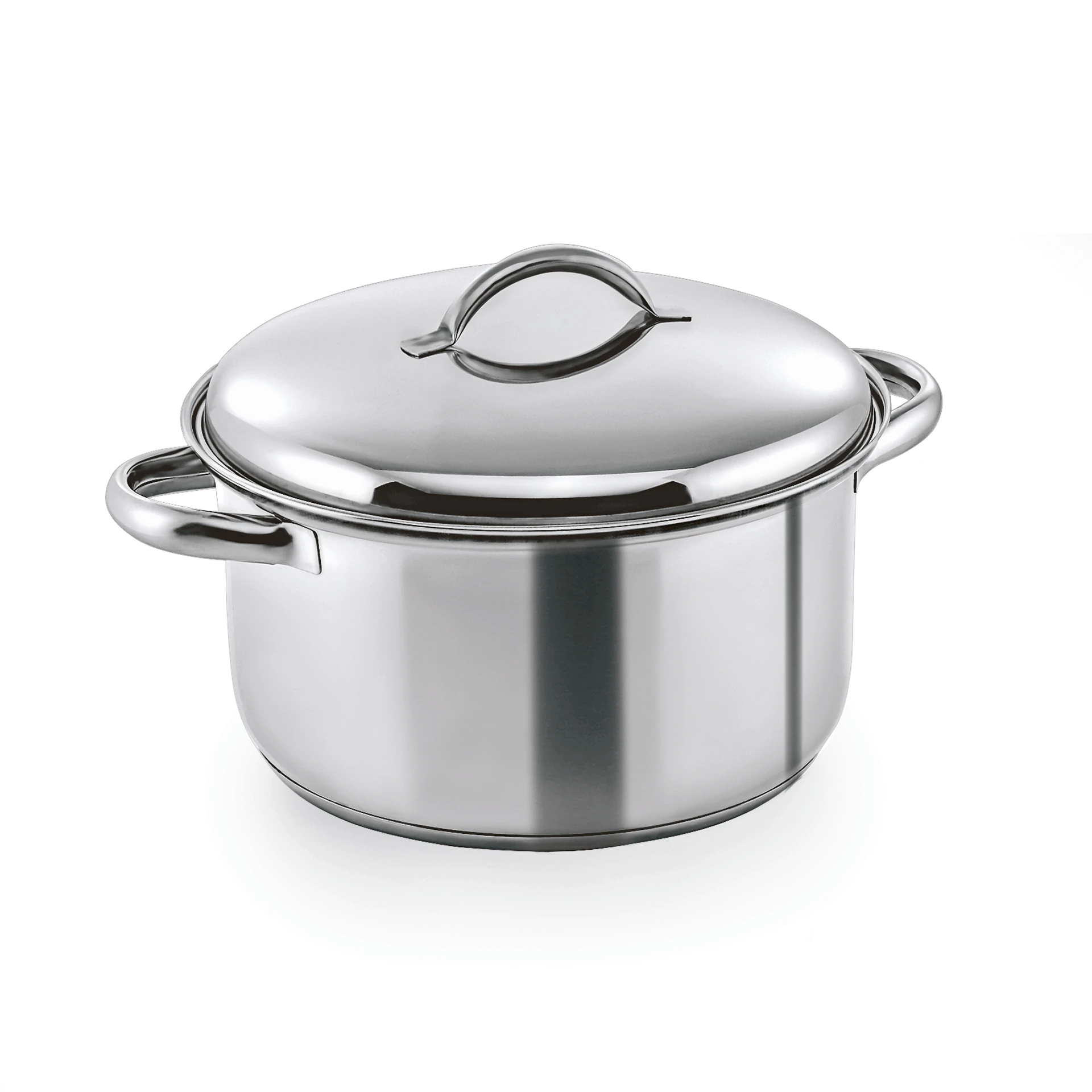 Stew pot with lid