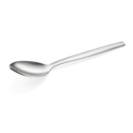 Teaspoon NP80