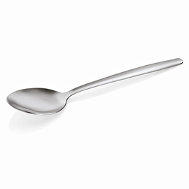 Coffee spoon NP80 Serve