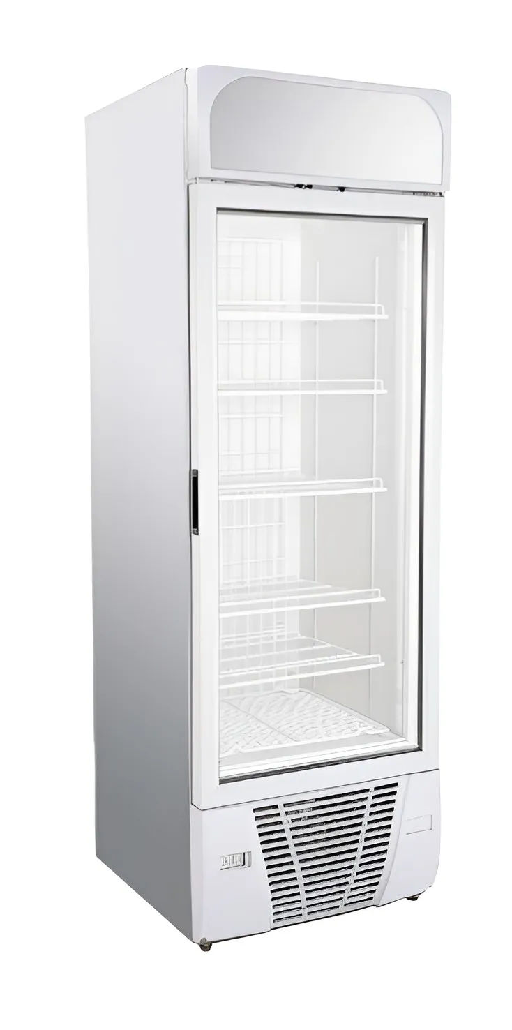 Infrio Single Glass Door Freezer 450 Litres